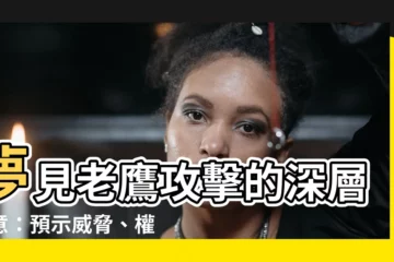 【夢見老鷹攻擊】夢見老鷹攻擊的深層含意：預示威脅、權力與勇氣的考驗