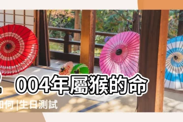 【2004年出生的人容易出名】2004年屬猴的命運如何 |生日測試性格 |出生年月日時辰算命表 |
