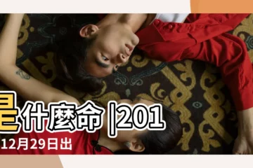 【2012年12月29日的八字】是什麼命 |2012年12月29日出生生日算命 |2012年12月29日出生的人命好嗎 |