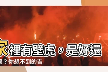 【家裡有壁虎是好事嗎】家裡有壁虎，是好還是壞？你想不到的吉兆都在這裡！