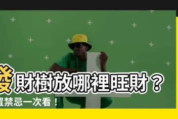 【發財樹放在哪裏好】發財樹放哪裡旺財？位置禁忌一次看！