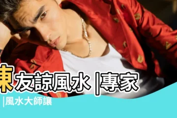 【陳友諒家的風水】陳友諒風水 |專家作4 |風水大師讓陳友諒在祖墳挖九口塘的故事是真的嗎 |