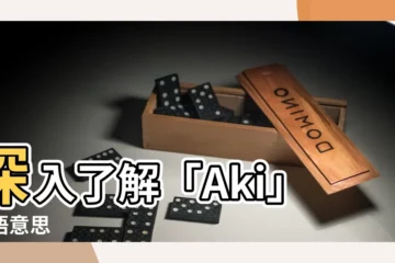 【aki日文意思】深入瞭解「Aki」日語意思
