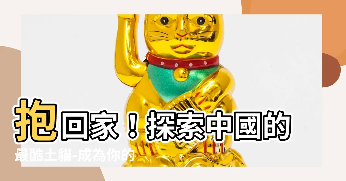 【土貓】抱回家！探索中國的最酷土貓-成為你的最佳夥伴
