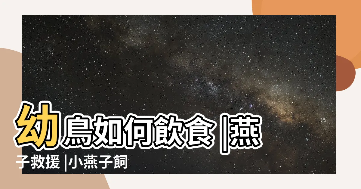 【燕子幼鳥怎麼養】幼鳥如何飲食 |燕子救援 |小燕子飼養週記 |