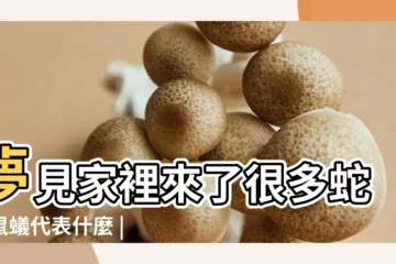【女人夢見蛇蟲鼠蟻】夢見家裡來了很多蛇蟲鼠蟻代表什麼 |夢見蛇蟲鼠蟻 |夢見蛇蟲鼠蟻 |