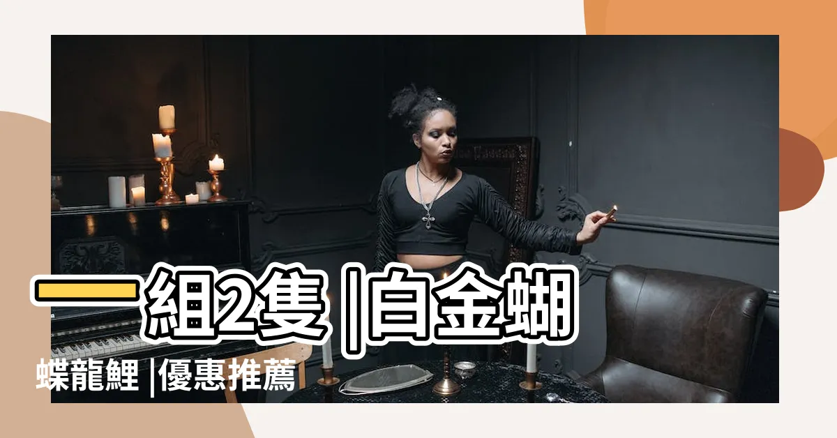 【龍錦鯉】一組2隻 |白金蝴蝶龍鯉 |優惠推薦 |
