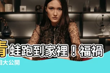 【青蛙跑到家裡】青蛙跑到家裡！福禍真相大公開