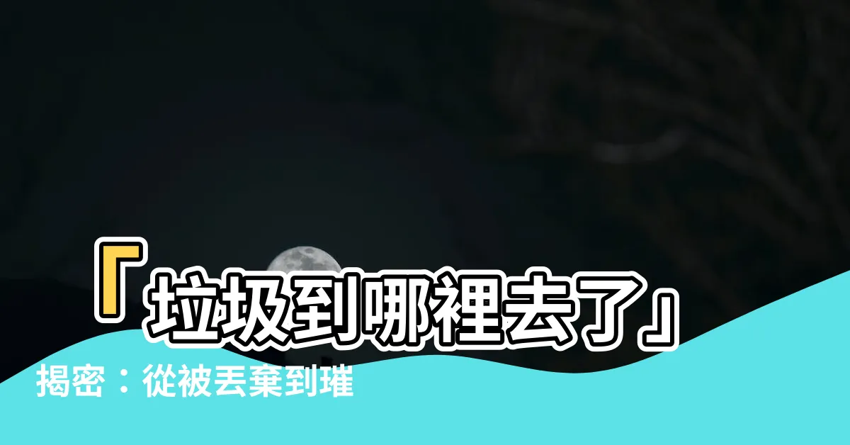 【垃圾到哪裡去了】「垃圾到哪裡去了」揭密：從被丟棄到璀璨新生的驚人轉變！