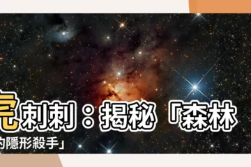 【虎刺】虎刺刺：揭秘「森林裡的隱形殺手」