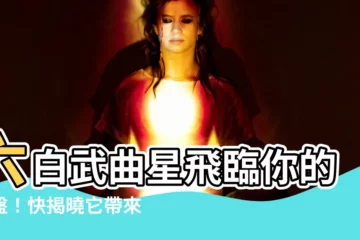 【六白武曲】六白武曲星飛臨你的命盤！快揭曉它帶來的吉凶