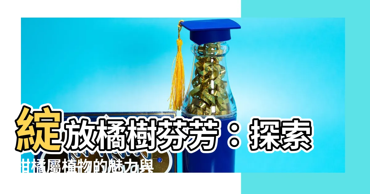 【橘樹】綻放橘樹芬芳：探索柑橘屬植物的魅力與故事