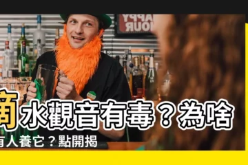 【滴水觀音 植物】滴水觀音有毒？為啥還有人養它？點開揭開神秘面紗！