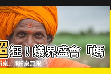 【螞蟻辦桌】超狂！蟻界盛會「螞蟻辦桌」開6桌無限吃到飽