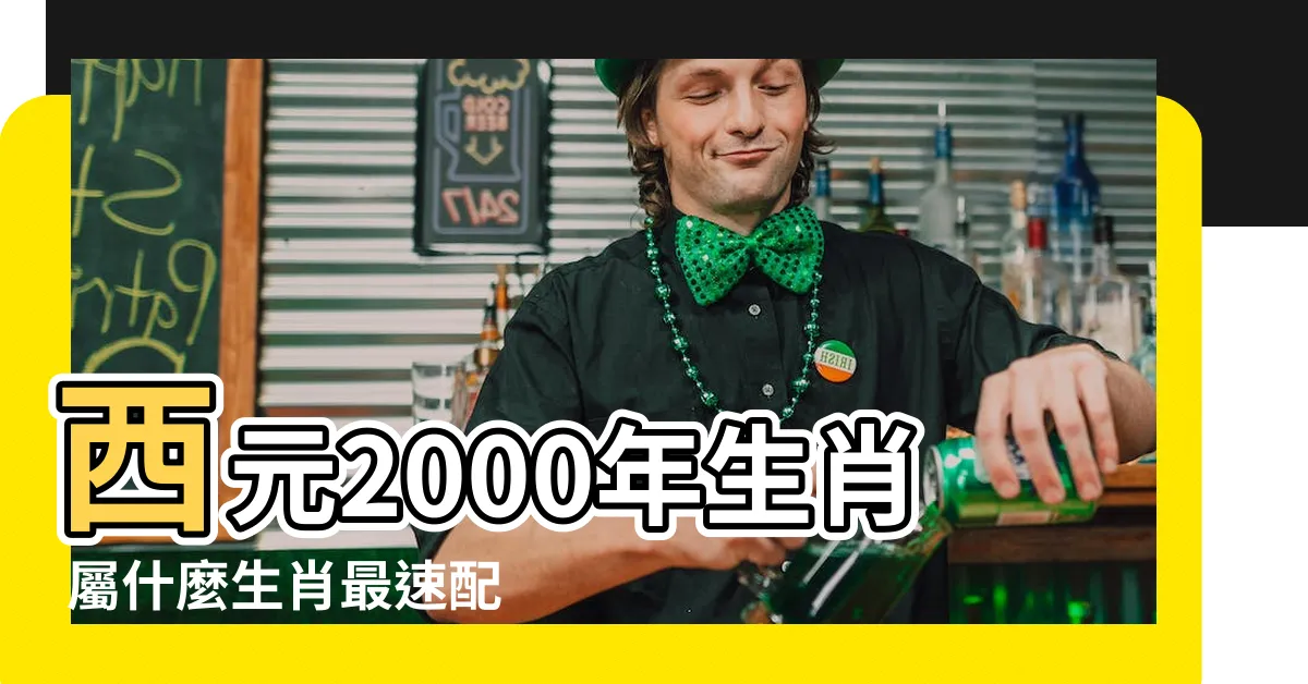 【西元2000年生肖】西元2000年生肖 屬什麼生肖最速配？