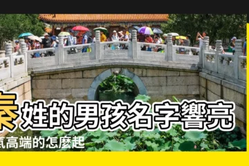 【秦姓好聽的男孩名字】秦姓的男孩名字響亮大氣高端的怎麼起 |秦姓男孩名字大全 |好聽的秦姓男孩名字大全 |