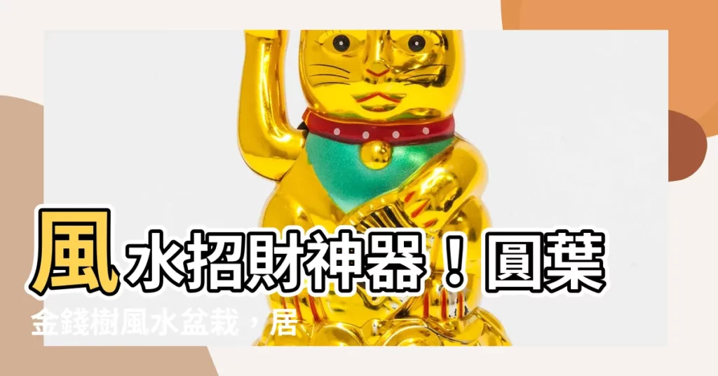 【圓葉金錢樹風水】風水招財神器！圓葉金錢樹風水盆栽，居家辦公室開運首選