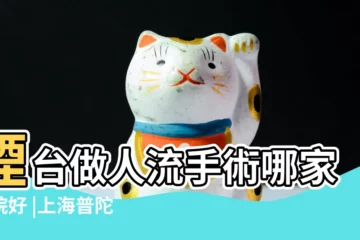 【徐匯做無痛人流哪個醫院好】煙台做人流手術哪家醫院好 |上海普陀區看子宮肌瘤哪家最好 |在懷孕早期做藥流還是人流好 |