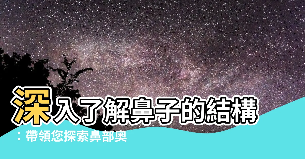 【鼻 部分】深入瞭解鼻子的結構：帶領您探索鼻部奧秘