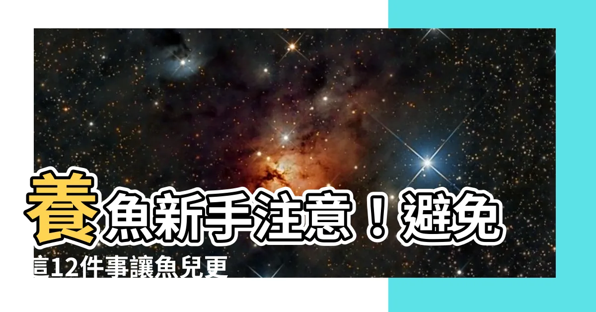 【養魚要注意什麼】養魚新手注意！避免這12件事讓魚兒更健康！