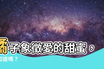 【橘子寓意】橘子象徵愛的甜蜜，你知道嗎？