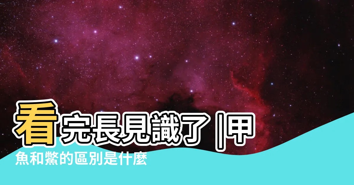 【王八是烏龜還是鱉】看完長見識了 |甲魚和鱉的區別是什麼 |鱉的區別 |