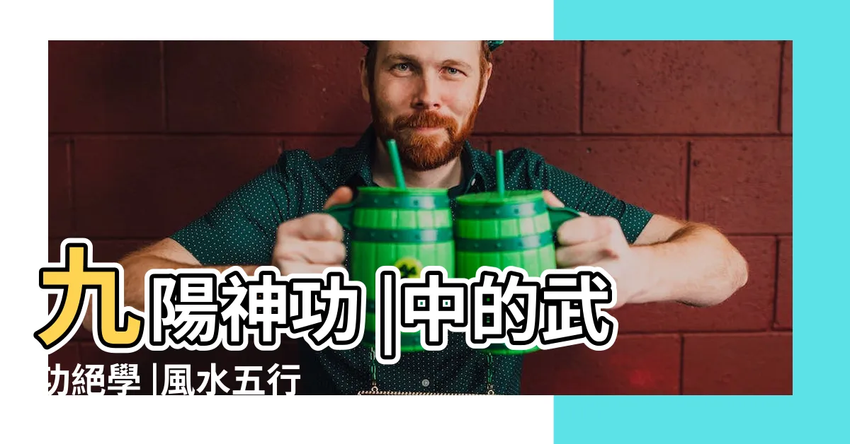 【五極天元一氣揚】九陽神功 |中的武功絕學 |風水五行擇日步驟 |