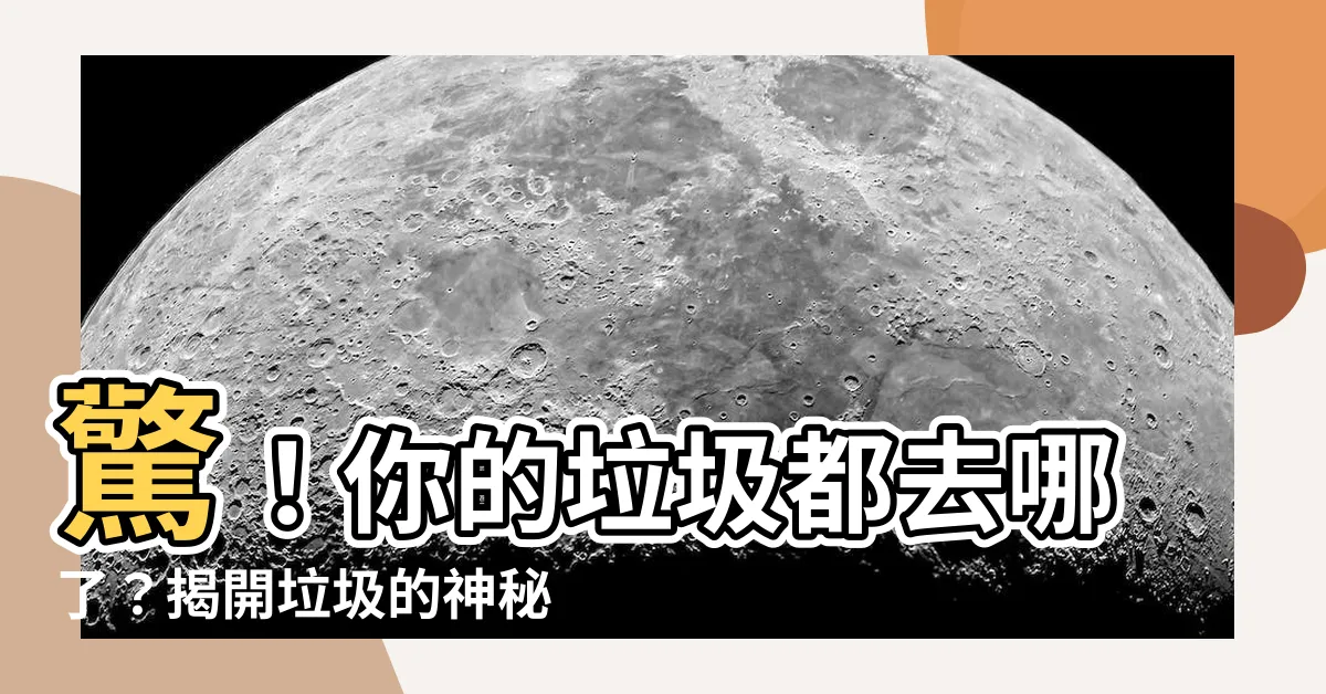 【垃圾哪裡去了】驚！你的垃圾都去哪了？揭開垃圾的神秘消失之旅