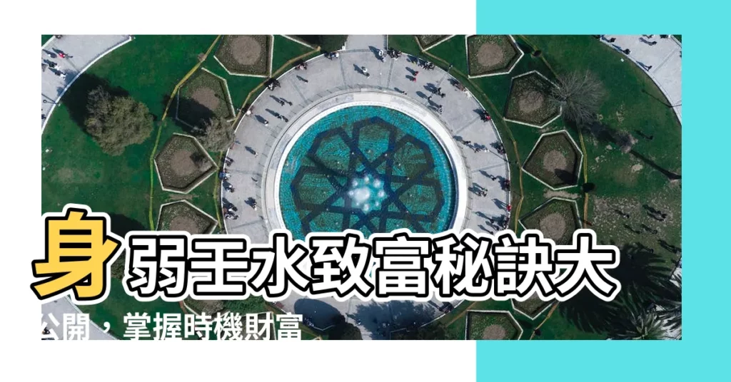 【壬水身弱】身弱壬水致富秘訣大公開，掌握時機財富滾滾來！