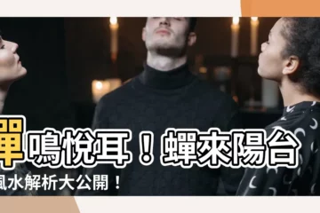 【蟬來陽台】蟬鳴悦耳！蟬來陽台，風水解析大公開！好運來了？還是厄運要來？