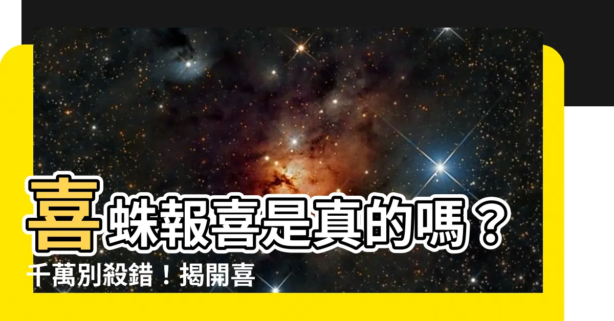 【喜蛛】喜蛛報喜是真的嗎？千萬別殺錯！揭開喜蛛的秘密
