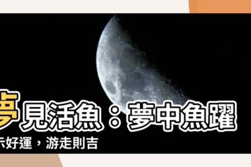 【夢見活魚】夢見活魚：夢中魚躍預示好運，遊走則吉凶難測！