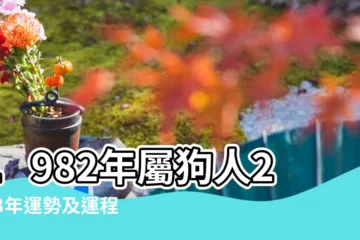 【二0o一年4月五日出生的人的運氣】1982年屬狗人2023年運勢及運程82年41歲生肖 |豬2024年蘇民峯運程 |AK犯太歲 |