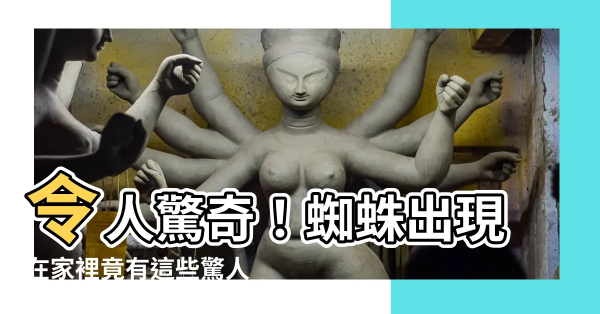 【蜘蛛出現在家裡】令人驚奇！蜘蛛出現在家裡竟有這些驚人預兆！