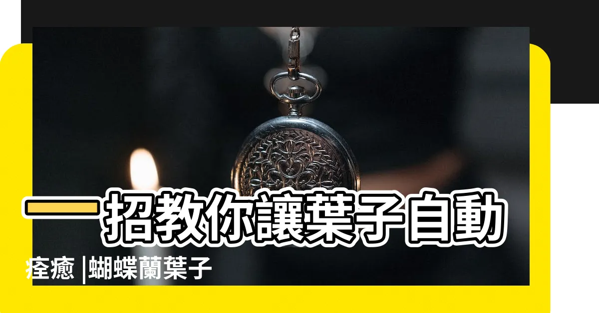 【蝴蝶蘭葉子裂開】一招教你讓葉子自動痊癒 |蝴蝶蘭葉子裂開了怎麼辦 |蝴蝶蘭的葉子裂開了彆着急 |