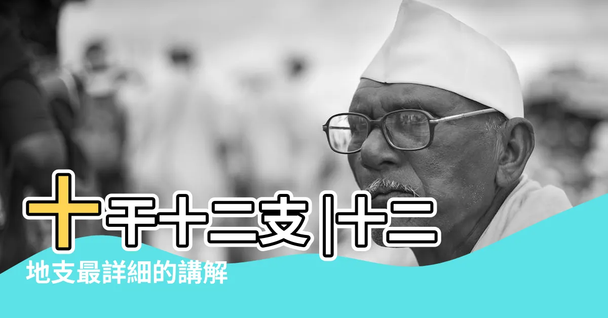 【12支 五行】十干十二支 |十二地支最詳細的講解 |12干支五行 |