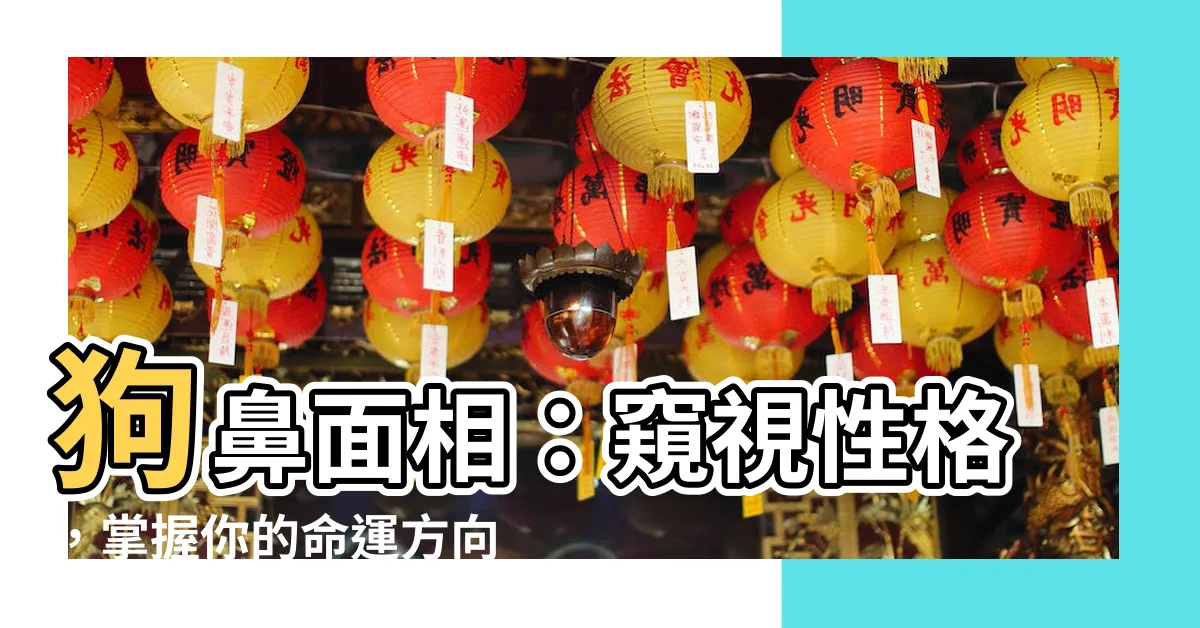 【狗鼻面相】狗鼻面相：窺視性格，掌握你的命運方向盤