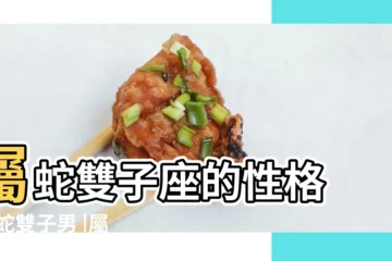 【屬蛇雙子男】屬蛇雙子座的性格 |屬蛇雙子男 |屬蛇的雙子男性格特點 |