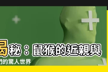 【鼠 猴】揭秘：鼠猴的近親與牠們的驚人世界