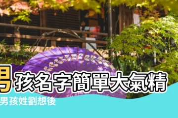 【劉後面接什麼好聽男孩名字】男孩名字簡單大氣精選 |男孩姓劉想後面起個恆有什麼好聽的 |2023兔年劉姓最旺男孩名字 |