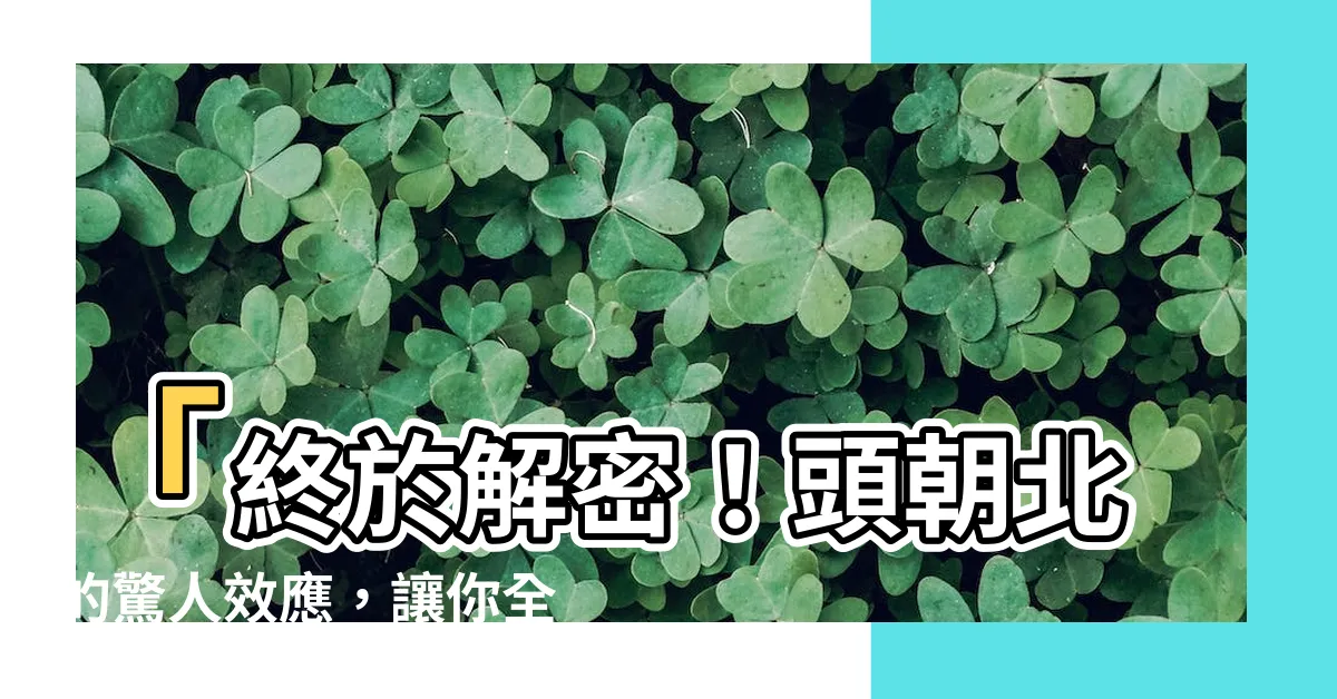 【頭朝北】「終於解密！頭朝北的驚人效應，讓你全年健康！」