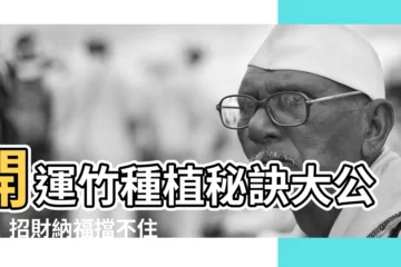 【開運竹種植】開運竹種植秘訣大公開！招財納福擋不住！