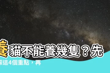 【貓 不能養幾隻】養貓不能養幾隻？先瞭解這4個重點，再決定「養兩隻貓」！