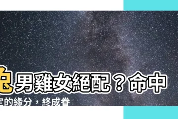 【兔男雞女】兔男雞女絕配？命中註定的緣分，終成眷屬！