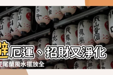 【虎 蘭】避厄運、招財又淨化！虎尾蘭風水擺放全攻略