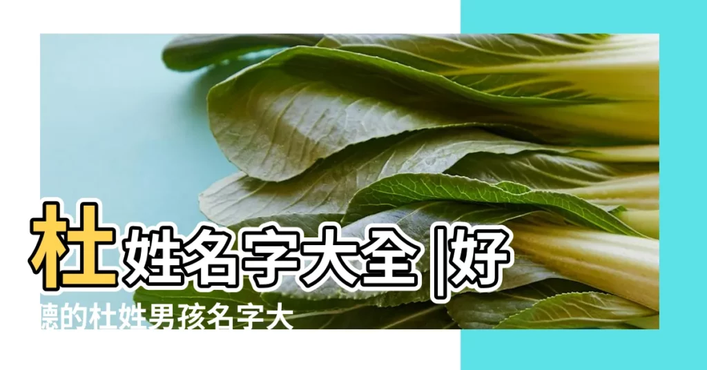 杜姓名字大全 |好聽的杜姓男孩名字大全2020 |杜姓名字大全 |【杜名字大全好聽的名字】