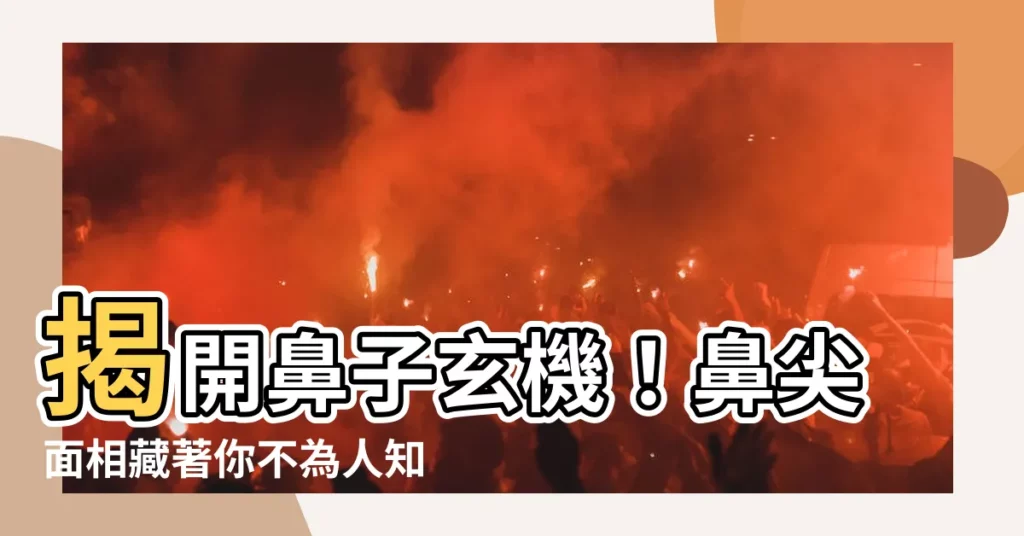 【鼻尖面相】揭開鼻子玄機！鼻尖面相藏著你不為人知的秘密