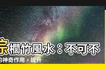 【棕櫚竹 風水】棕櫚竹風水：不可不知的神奇作用，提升居家運勢！