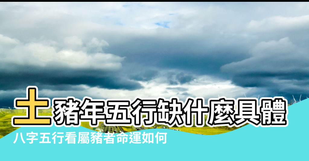 【五行看土豬命】土豬年五行缺什麼具體看豬寶寶 |八字五行看屬豬者命運如何 |土豬命是什麼意思運勢怎麼樣 |