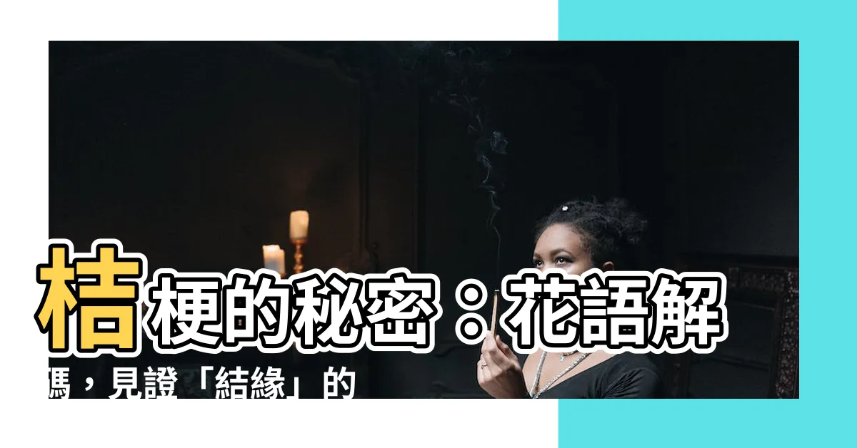 【結艮】桔梗的秘密：花語解碼，見證「結緣」的浪漫序曲